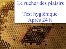 Test hygiénique après 24 h