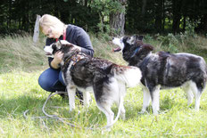 Frau streichelt Husky