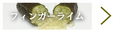 フィンガーライム