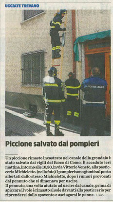 La Provincia di Como - 11/03/2015