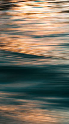D.Olah/unsplash