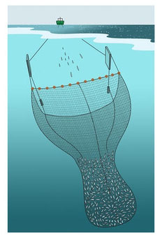 Fangmethoden - www.koch-zug.ch