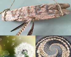 www.ronaldosephius.nl vlieg veren drijfhout nautilus stenen vortex dandelion paardenbloem zaadjes licht Bewust Groeien vanuit Innerlijke Kracht!