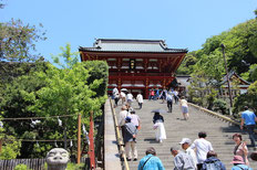本宮桜門へ階段を上る