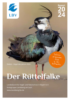 Der Rüttelfalke - Report 2024