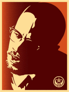 Shepard Fairey Malcom X orange