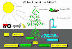 Nitrat im Trinkwasser ist Gesundheitsschädlich, aber mit einen Wasserfilter von H2O-Filtertechik gibt es kein Problem mehr.  