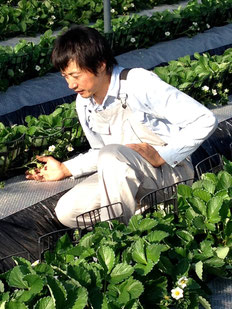 「農薬ゼロのだいしん農園」 楠田大伸
