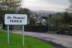 アイルランド・フィークル