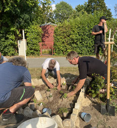 Bau eines Klimabeets bei einem DAUCUM-Workshop