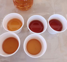 紅茶のテイスティング