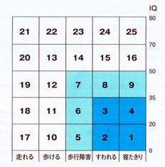 大島の分類