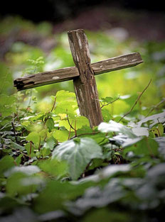 Una piccola croce di legno marca una tomba nel cimitero della Carmel Mission. Circa 2.500 indiani cristiani sono stati seppelliti lì.