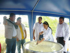 Batiendo la mezcla para la formación del "queso más grande". El Carmen, Ecuador.