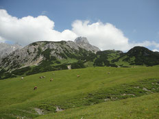 Abtenau, die Perle des Tennengau