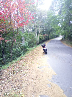 紅葉の始まり。道は殆ど交通量なく楽しい