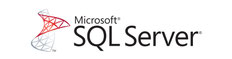 Microsoft SQL Serveur - SAP Business One