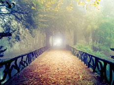 Lebensbereiche aktivieren im Herbst