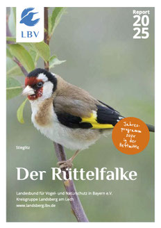 Der Rüttelfalke - Report 2025