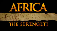 Africa selvaggia, il Serengeti