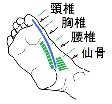 首 背中の痛み ツボ健康療法講座