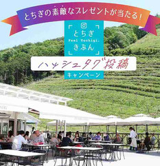 栃木県インスタキャンペーン-とちぎきぶん投稿キャンペーン