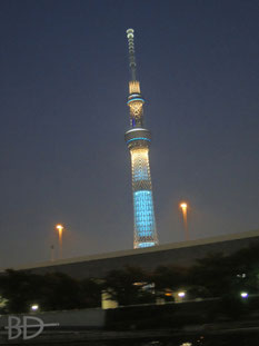 ヒント:この近くに住んでいるプロです