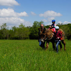 Les ânes de Madame - Balades accompagnées en Sologne, Val de Loire, châteaux de Chambord, Cheverny, Villesavin, du Moulin - Vacances nature en famille et entre amis