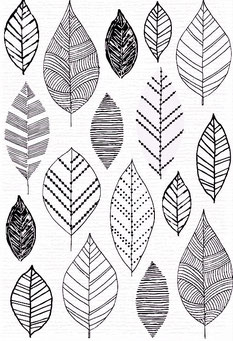 Práctica de líneas en diseños de hojas