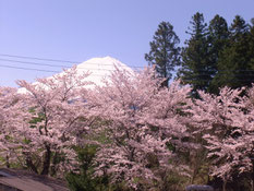 客室からの風景画像1