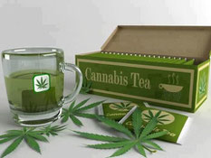 The cannabis