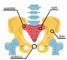 骨盤矯正