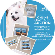 charity online auction, support, the Armed Forces of Ukraine, pets, Ukraine, donate, Ukrainian volunteer, a dog volunteer, Simba, postage stamps, Russian Warship done, Japanese Spitz, white dogs