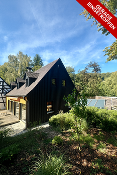 Zugang zu einem Haus mit spitzen Dach in einem modernen Garten