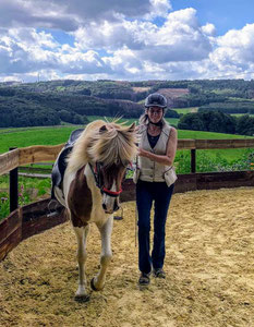 Sigrid und ihr junges Pferd Helgi laufen nebeneinander im Longierzirkel. Im Hintergrund hängen weiße Wolken über dem sonnenerleuchteten Wald