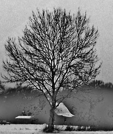 Photo: Gee Vero