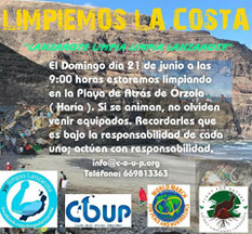 Cleaner Ocean Upcycling Productions, COUP , Beachcleanup, Lanzarote Limpia, Limpia , Lanzarote, unidos, Surf, Beach, Sun , Fun, Lanza, limpieza, Playa, Strand,