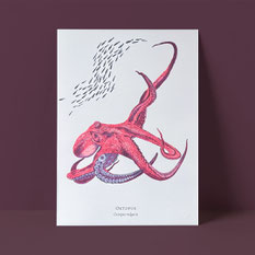 typocean Ulrike Poppe, Oktopus, Risographie, 2024