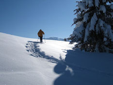 Faire sa trace dans la neige vierge...régal! Own steps in the fresh snow...a real treat!