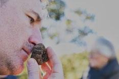 Perigord Black Truffle Hunting