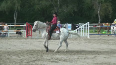 Der Spin