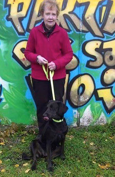 Princesse - croisée Labrador - chienne abandonnée désormais adoptée - SPA du Penthièvre - 22