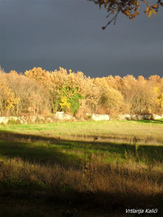 Jesenske boje - Autumn colors