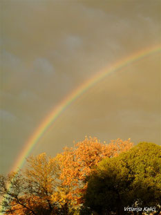 Autumn colors, rainbow