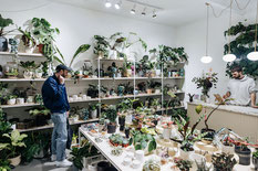 Top 5 flower shops in Berlin