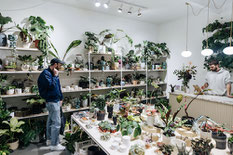 Top 5 flower shops in Berlin