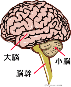 自律神経の不調でお悩みなら、麹町駅から徒歩３分の症状に特化した整体で人気の当院へ