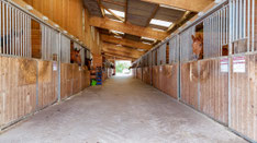 barns chevaux caen