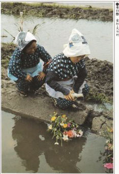 水口祭・愛知県（『カラー図説　日本大歳時記』昭和５６年　講談社）