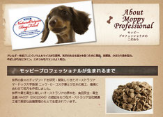 moppypro,モッピープロ,ちわわ,チワワ,わんこ,ワンコ,犬,子犬
